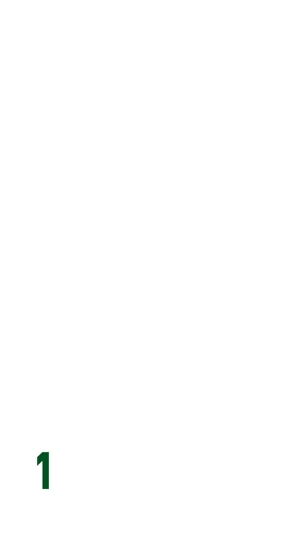 印象丞裔